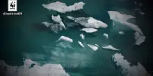 Crisi climatica e transizione energetica, wwf scrive alle regioni