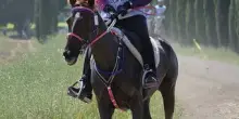 Endurance, il Fuxiateam brilla ai Campionati Italiani 2026