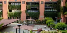 Start up, POLIMI annuncia collaborazione collabora con Mental Economy