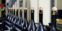 Vino, Oiv: nel 2025 nel mondo calati consumi, scambi e superficie vitata