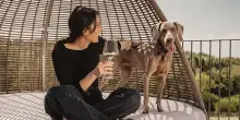 Cantina Dosio lancia &ldquo;La Dimora&rdquo;, nuova Barbera d&rsquo;Alba d&rsquo;altura