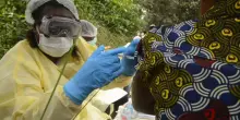 Virus ebola in Africa, Oms: emergenza sanitaria internazionale