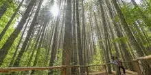 Fai: il 23 e 24 maggio al via le Camminate nella biodiversit&agrave;