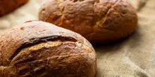 La cooperativa Valle del Dittaino fa 50 anni: focus sulla Dop
