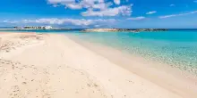 Turismo, Formentera celebra la giornata della biodiversit&agrave;