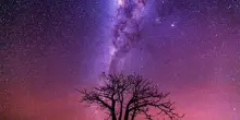 Western Australia, il lusso di perdersi