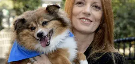 False fatture per 1,5 milioni, indagata a Milano la deputata Brambilla