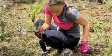 Life Vaia, Rigoni di Asiago: nuovi alberi per la rinascita dei boschi