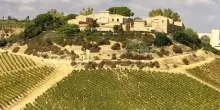 Feudi del Pisciotto dedica un vino a Niscemi: il ricavato ai cittadini