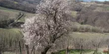 Si chiude con grande successo la Primavera nelle oltre 100 Oasi Wwf