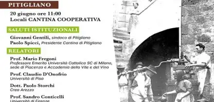 Vino, Bianco di Pitigliano: 60 anni della Doc tra storia e futuro