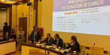 Salute, nasce l&rsquo;intergruppo parlamentare dei donatori di sangue