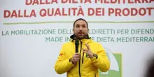 Coldiretti: olio business da 5,8 mld. Sequestri? Goccia nel mare
