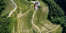 Tenuta Stella lancia concorso fotografico su biodiversit&agrave; del Collio