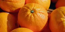 In primi 3 mesi export ortofrutta +7,6% a valore, -0.9% a volumi