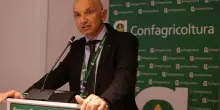 Enrico Allasia (Confagri) entra nel cda del Pefc