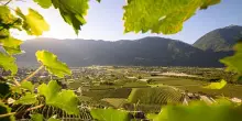 I musei della Valtellina raccontano natura, arte e memoria