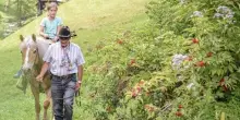 San Vigilio e San Martin: la montagna dei bimbi tra due parchi naturali