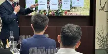 Castello del Terriccio a Singapore con una verticale di &ldquo;Lupicaia&rdquo;