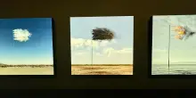Art Basel: Unlimited stanca, ma il digitale rilancia il desiderio