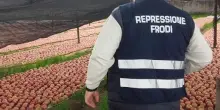 In 2025 da Icqrf 54.913 controlli su filiera agroalimentare