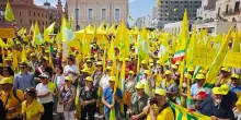 Agricoltori Coldiretti-Unaprol a Bari contro speculazioni olio