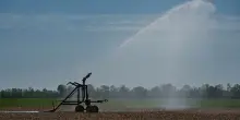 Cia: ondata di caldo del 2026 costa all&rsquo;agricoltura 1,5 miliardi
