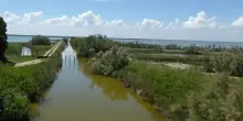 Siccit&agrave;, Favero (Pd): Veneto &egrave; in ritardo cronico, servono soluzioni