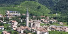 Colli di Conegliano Docg, Consorzio chiama territorio a fare squadra