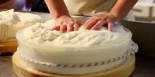 Entra nel vivo la produzione della Fontina Dop Alpeggio