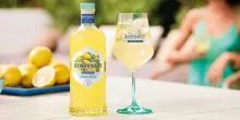Gruppo Montenegro punta sul limoncello, un mercato globale da 414 mln