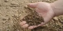 Ok Parlamento Ue a sostegni ad agricoltori su prezzi fertilizzanti