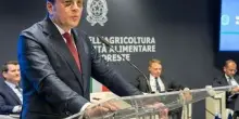 V&aacute;rhelyi: entro 2026 proposte su galline ovaiole e polli da carne