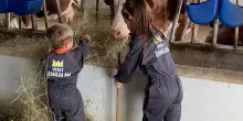 Sutrio, il paese che si fa albergo diffuso per restare vivo
