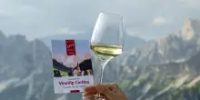 &rdquo;VinoVip Cortina&rdquo;: il 12 e 13 luglio con 54 Cantine e un grande talk
