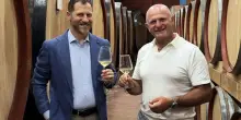 Cantina di Solopaca compie 60 anni: Marco Giulioli nuovo enologo