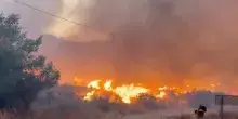 Spagna, bosco in fiamme in Andalusia: vittime intrappolate nelle loro auto