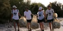 Mare, Wwf: A Torre Guaceto raccolti 300 chili di rifiuti
