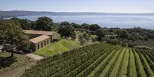 Vino, Villa Caviciana rilancia il Grechetto Rosso con &ldquo;Tueri&rdquo;