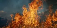 Coldiretti: a fuoco 9mila ettari in un mese pesano caldo e siccit&agrave;
