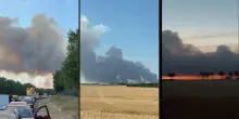 Incendi boschivi in Francia: 59 persone arrestate in tutto il Paese