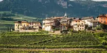 Il Trentodoc chiude 2025 con fatturato a 180 mln e 12,2 mln di bottiglie