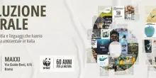 Al Maxxi di Roma &ldquo;Rivoluzione naturale&rdquo;, mostra sui 60 anni del Wwf