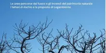 Legambiente: Quasi 500 i roghi e 9.545 gli ettari andati in fumo