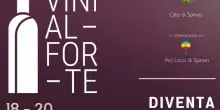 &rdquo;Vini al Forte&rdquo; esordisce a Spinea dal 18 al 20 settembre