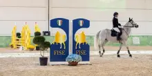 Cavalieri del salto ostacoli hanno visione pi&ugrave; rapida dei calciatori