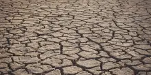 Coldiretti: per clima estremo danni da centinaia di milioni