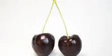 Ciliegia di Vignola Igp, produzione in aumento del 25%