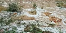 Coldiretti: grandine e vento devastano i campi del Centro-Nord
