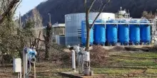 Stop carni con Pfas, Favero(Pd): conferma che problema esiste